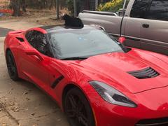 KitKat Has Taste.jpg